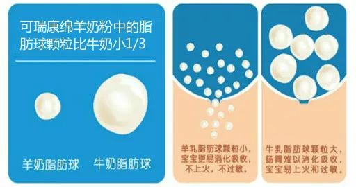 澳洲奶粉骗局揭秘,澳洲奶粉的十大谣言