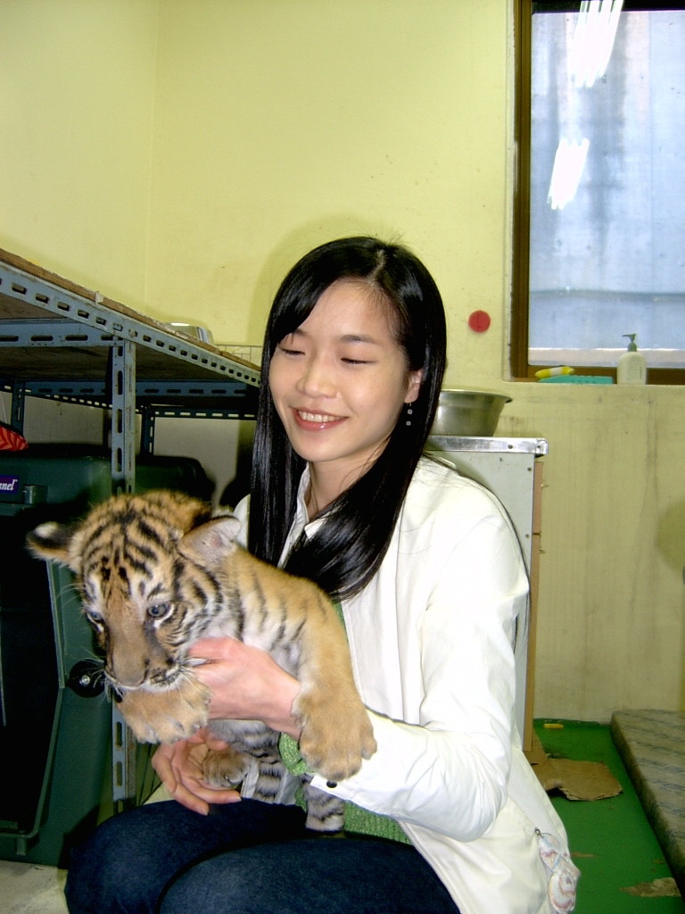 2006年韩国女生聚餐后失踪,韩国女大学生失踪事件