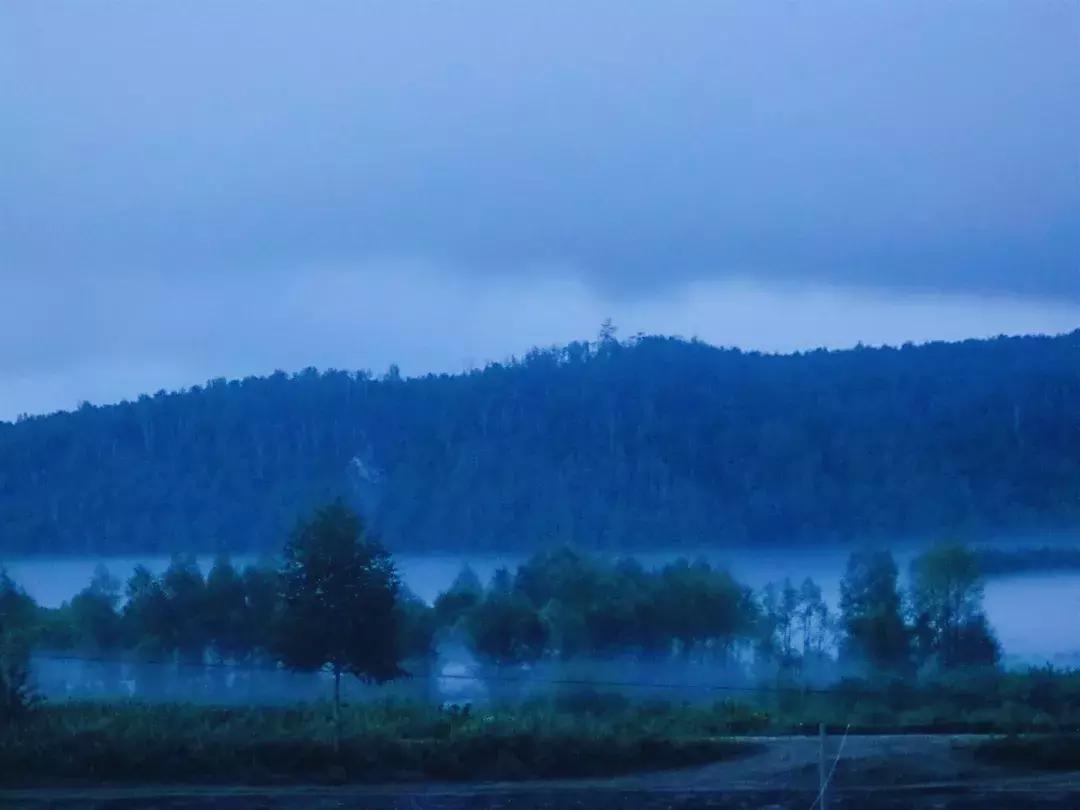 迟子建散文经典语句,迟子建散文人生感悟语句