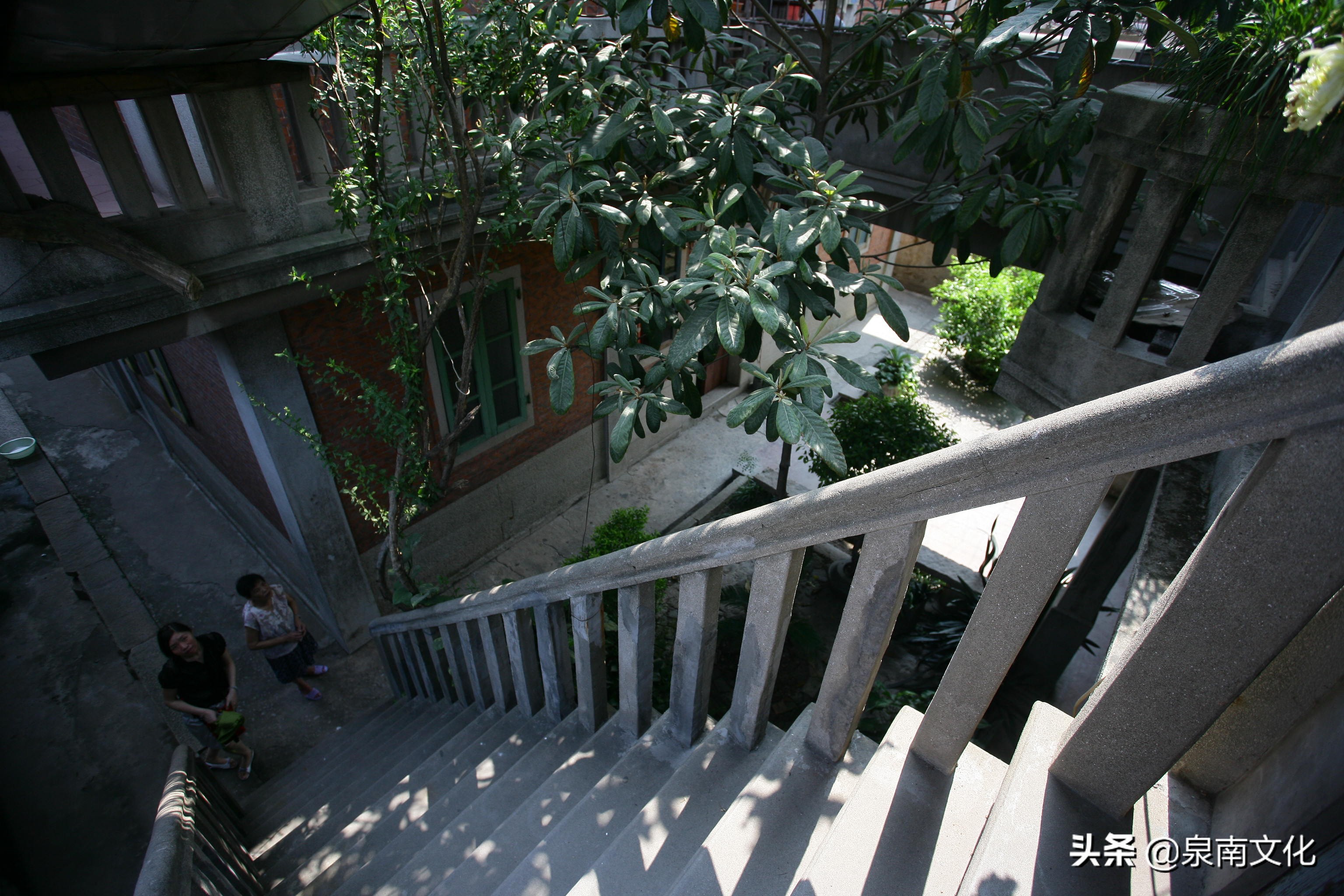 泉州中山路两侧巷道踏勘日记（三）：奎霞巷、会通巷、通政巷等