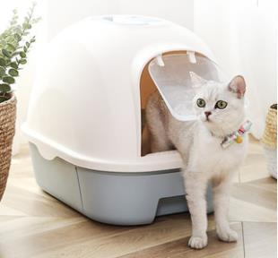 猫咪乱拉臭臭怎么办,家里的猫咪乱撒尿怎么办