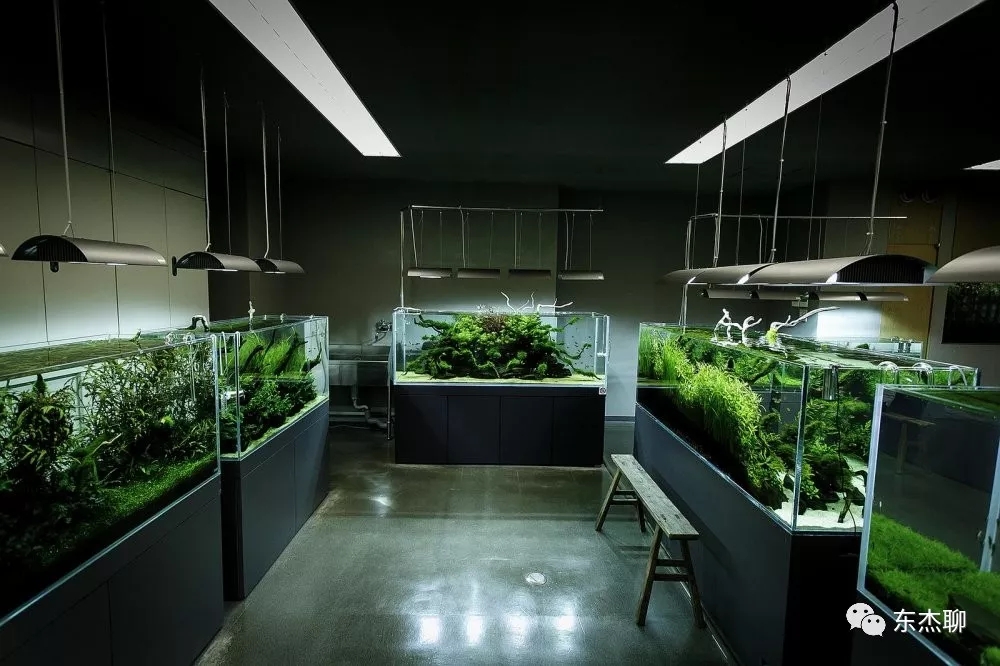 海缸最好的过滤系统,海缸推荐用什么过滤器