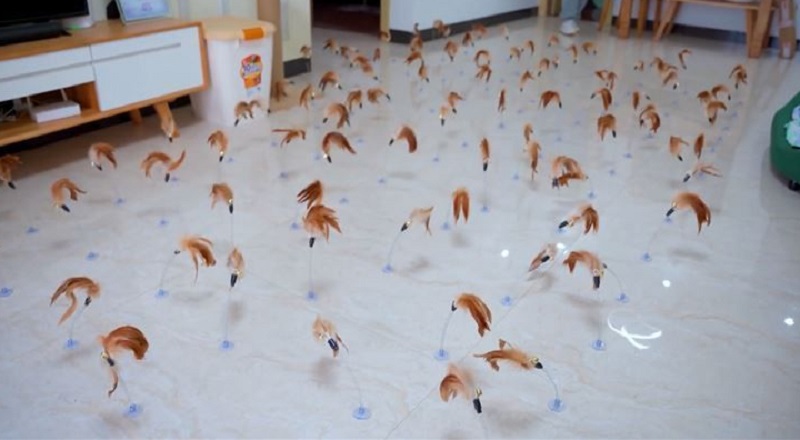 买给小猫的逗猫棒,买逗猫棒给猫玩