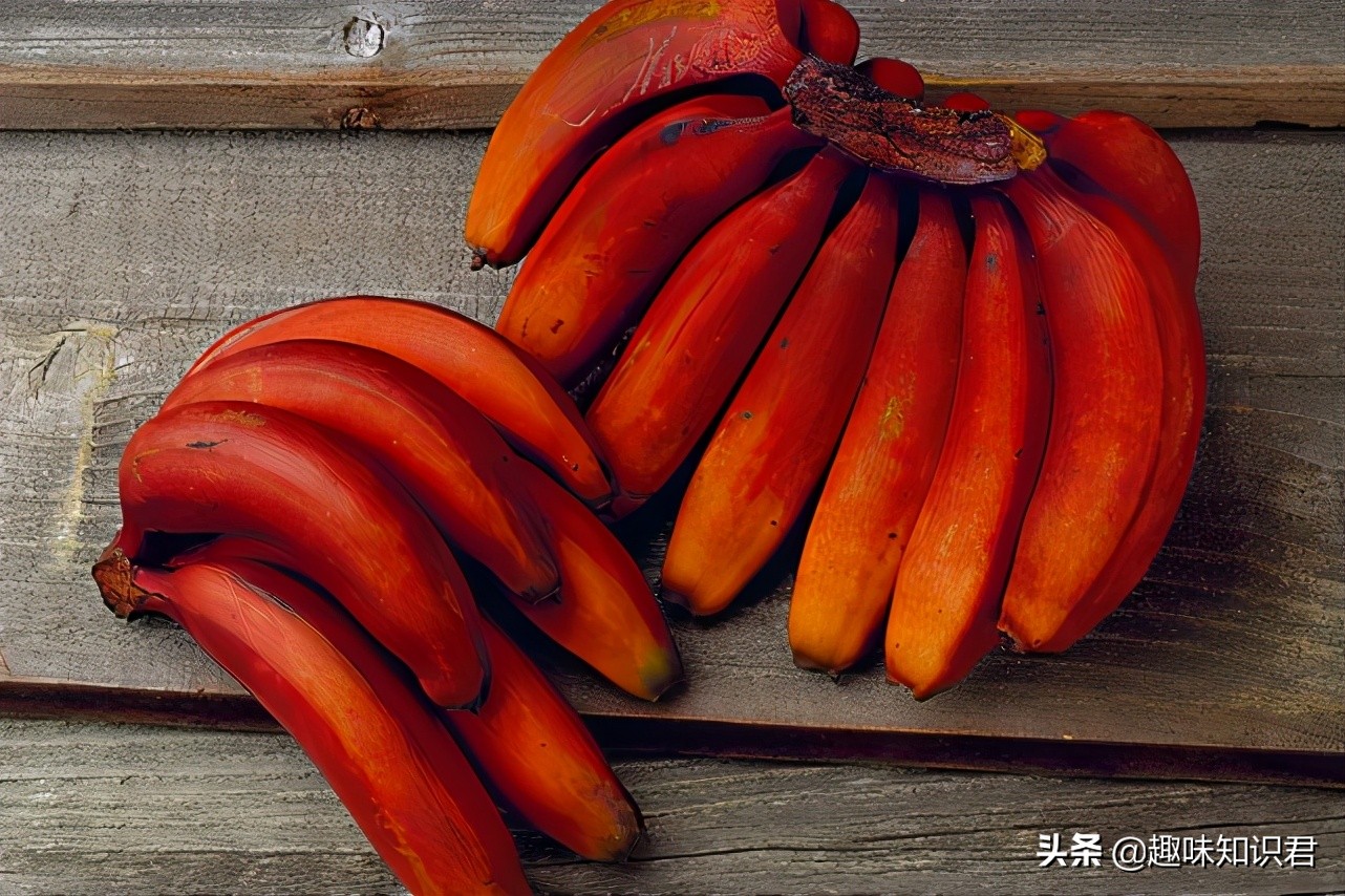 每日小科普有趣的冷知识分享,最有趣的冷知识你知道吗