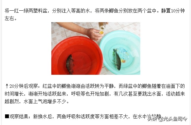 柴油味的鱼有什么危害,鱼类腥味的主要来源是什么