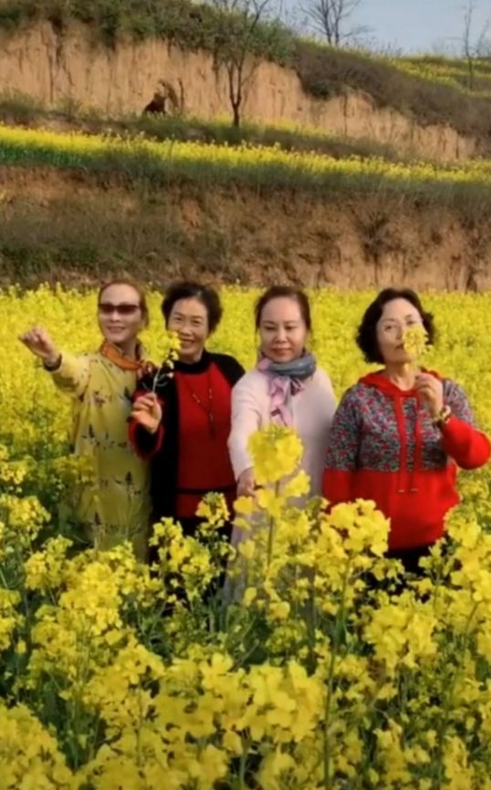 阔别四十年战友相聚画面,阔别三十六载