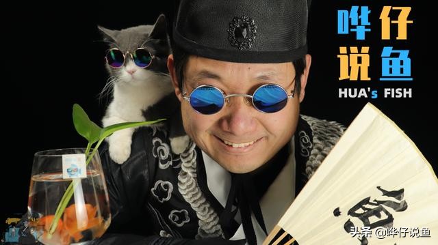 鱼缸滤材要细菌屋好还是十合一好,鱼缸细菌屋天然滤材自己动手制作