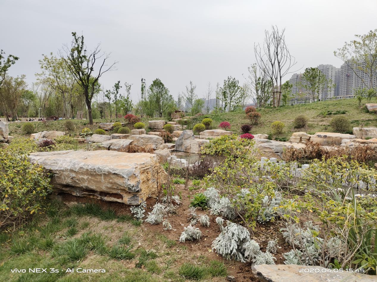 vivonex3s上手体验,追求极致游戏体验手机