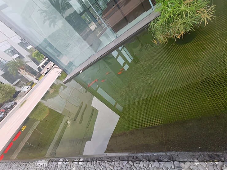 粤丰环保官网,粤丰环保