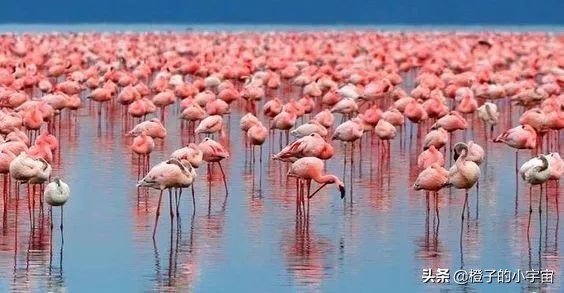 日不落帝国的遗产，塞浦路斯（Cyprus）