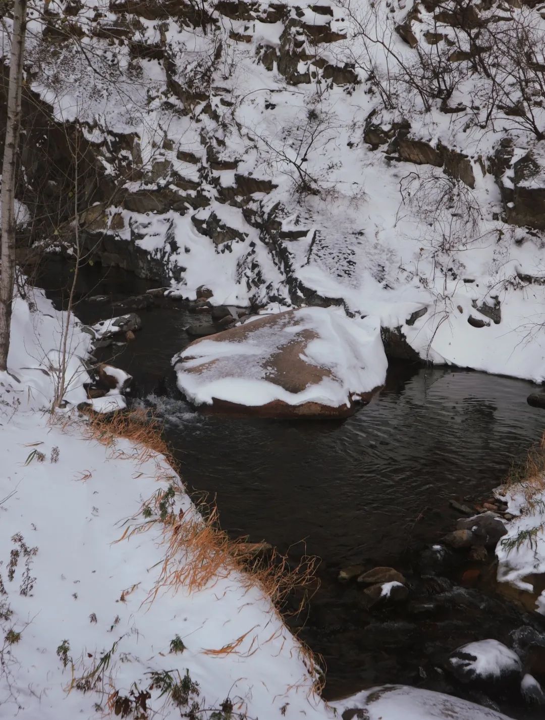 冬日雪景的诗句,黄山冬日雪景有关诗句
