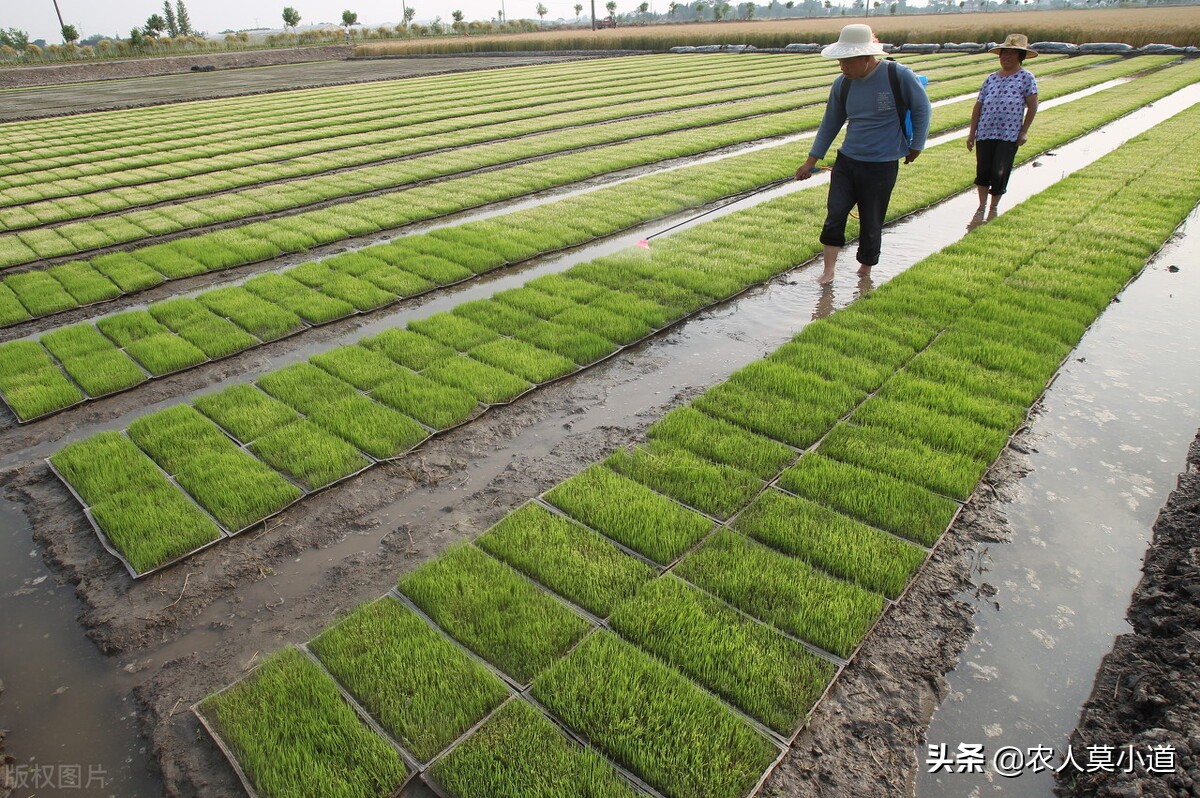 先注销户口还是先办理继承,户口注销影响房产继承过户吗
