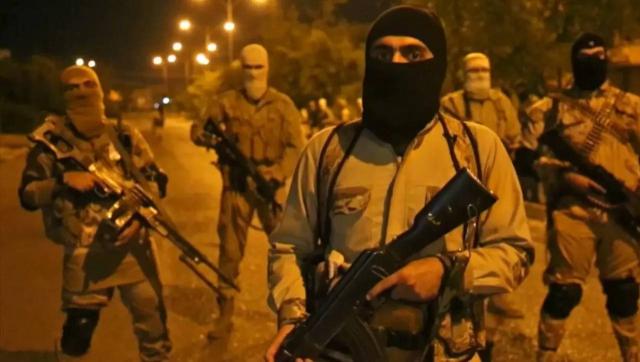 is是美国培养的吗,is是哪个国家扶持的