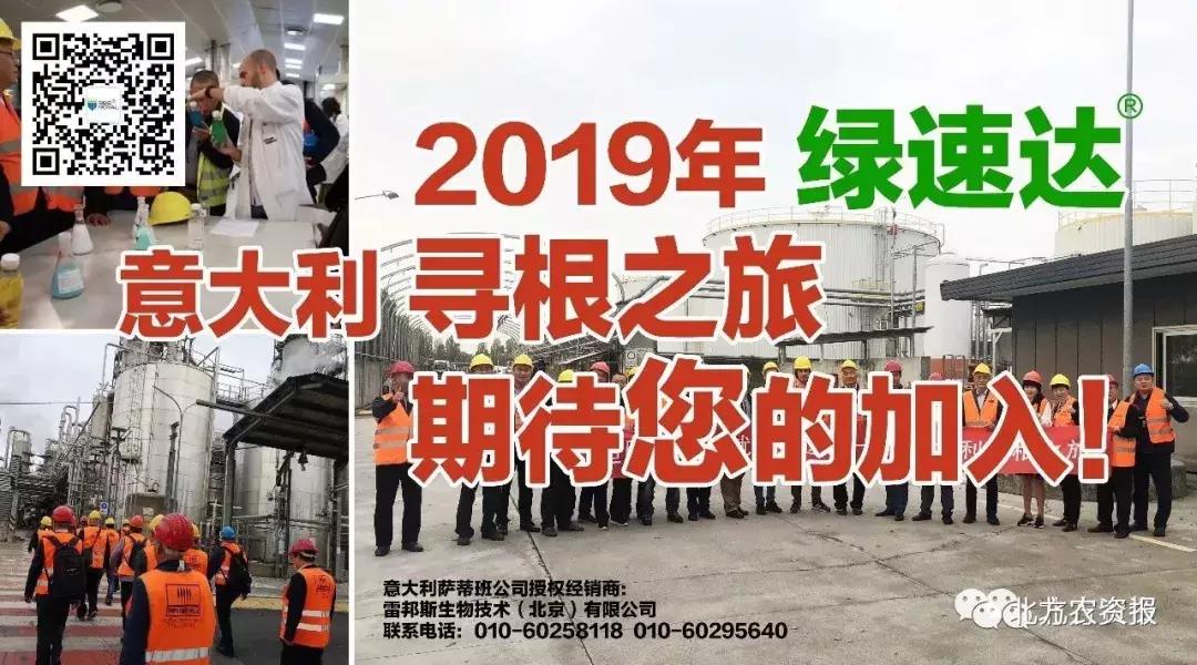 近期一铵和二铵的价格,云南三环二铵走货