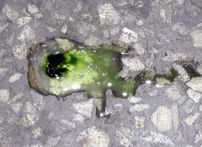 仔猪拉稀有稀粪便还有饲料,仔猪拉水泥颜色粪便怎么治疗