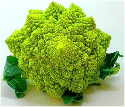 雪花周长和地球直径哪个长,雪花周长和地球直径