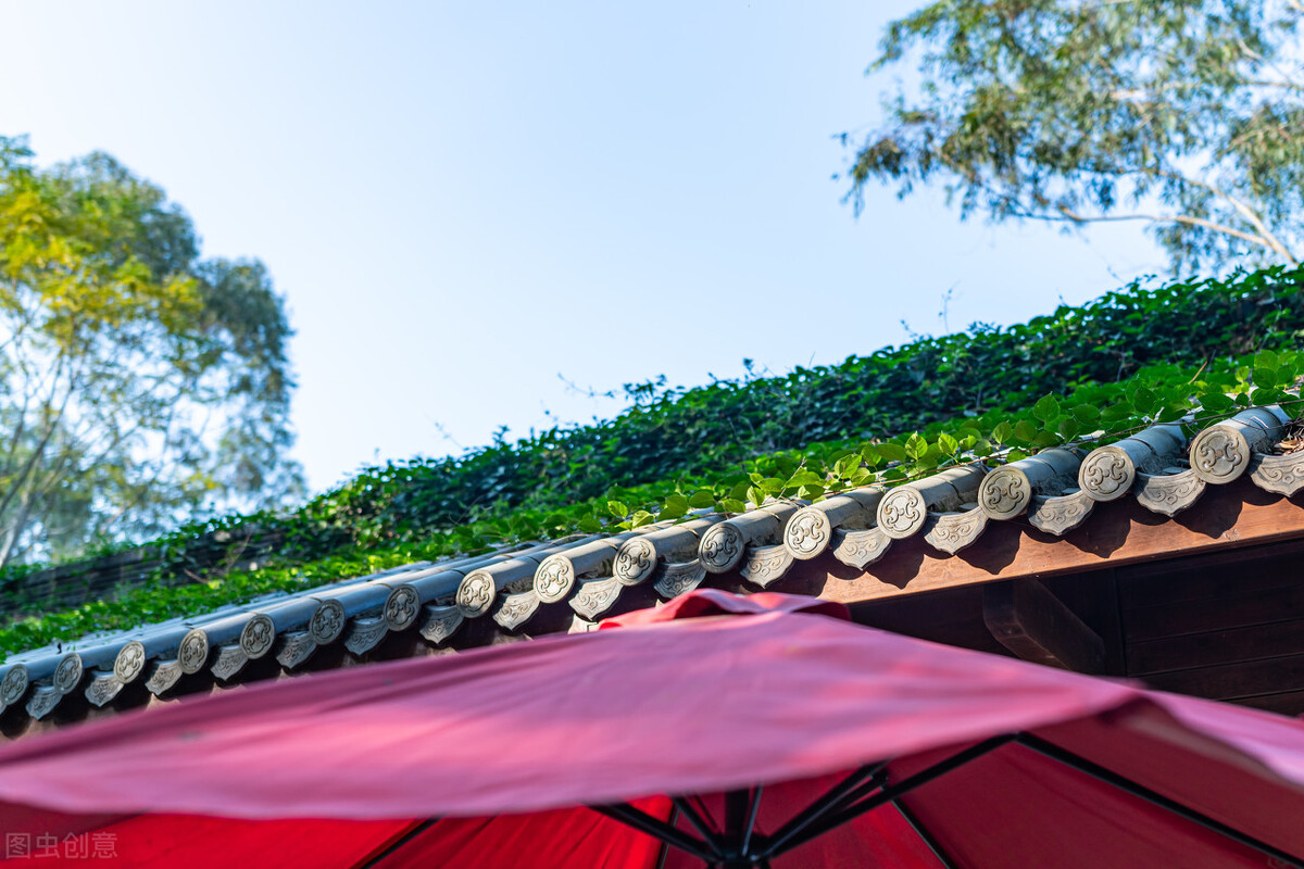 带你走进不一样的广西南宁,带你认识广西桂林