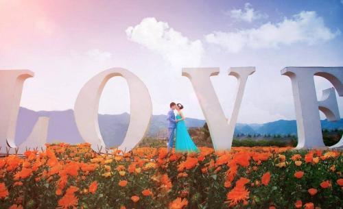 好听的婚庆公司名字,婚庆店名字创意