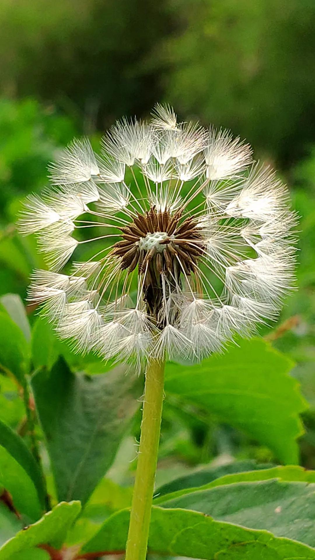 绗旀潵,绗旀潵灏忚