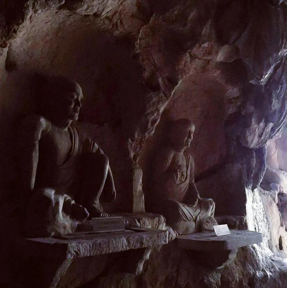 烧光脑细胞！当我们把*物文**拍成电影，精彩程度超出想象