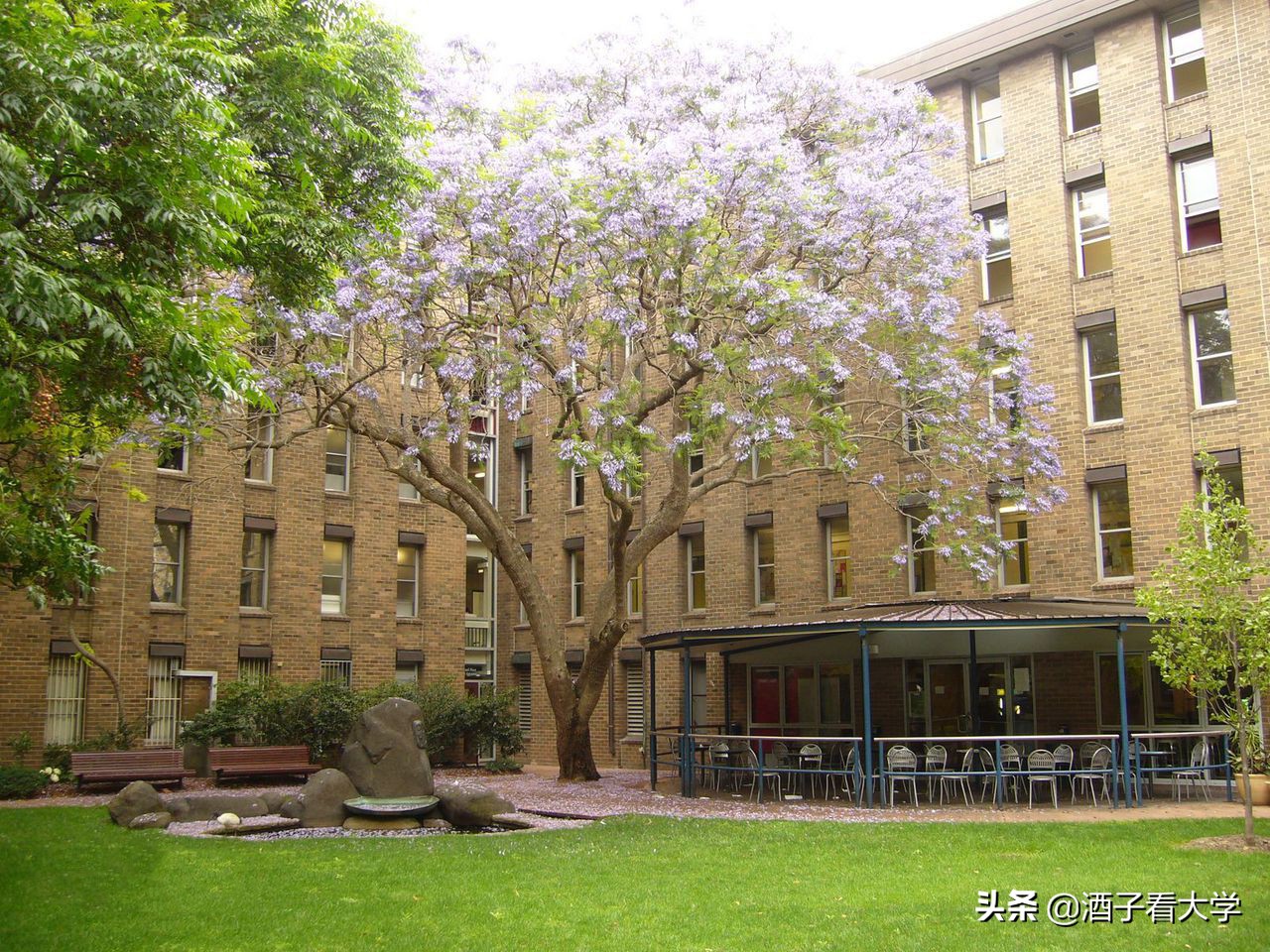 战争学院有多厉害,世界十大顶尖军事大学