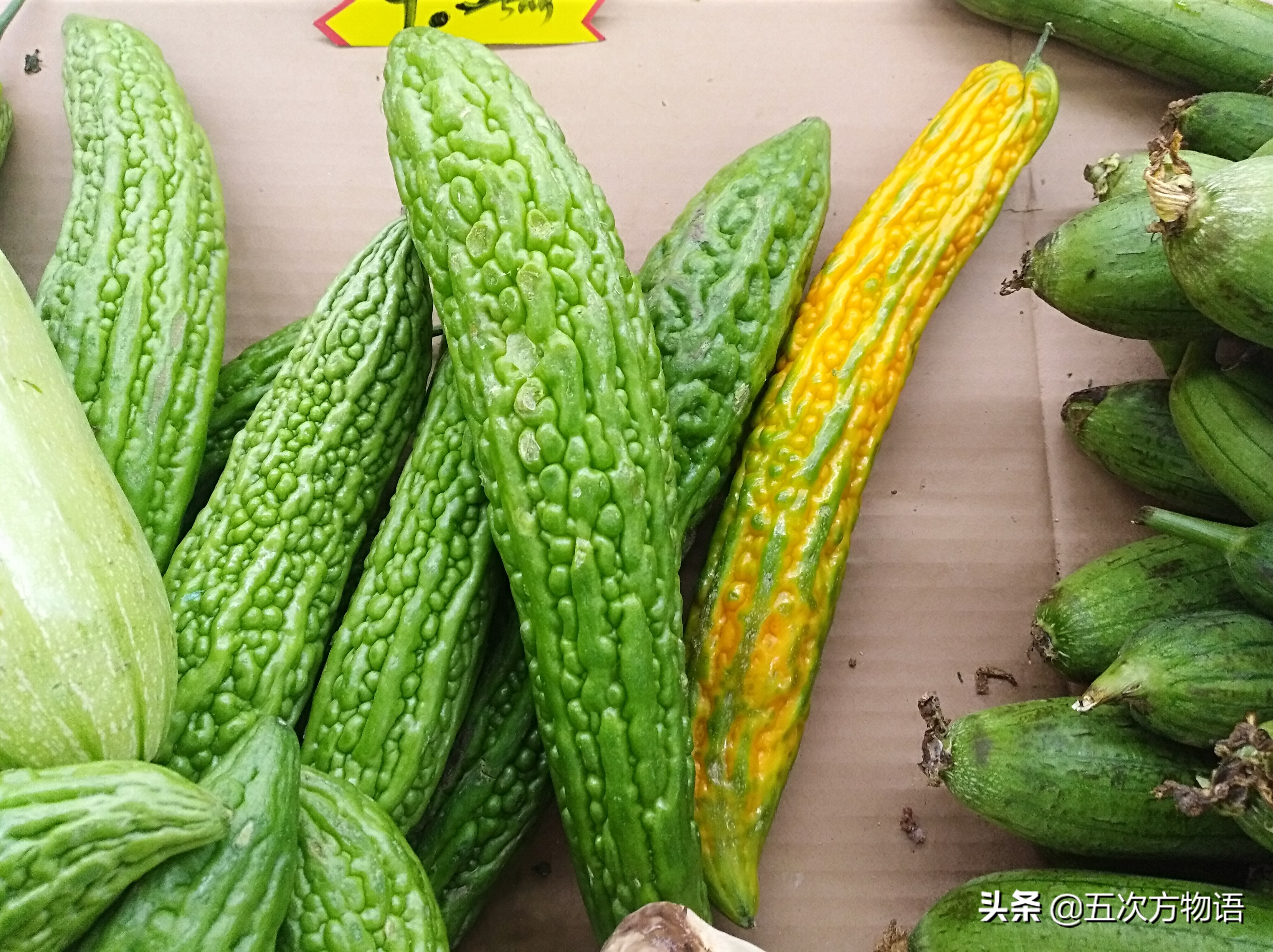 不管你承认与否,不管你承认不承认生活都得继续