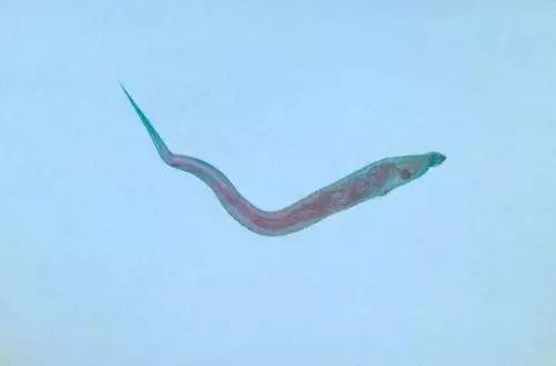 2个娃身上突然多处淤青，到底是谁虐的？