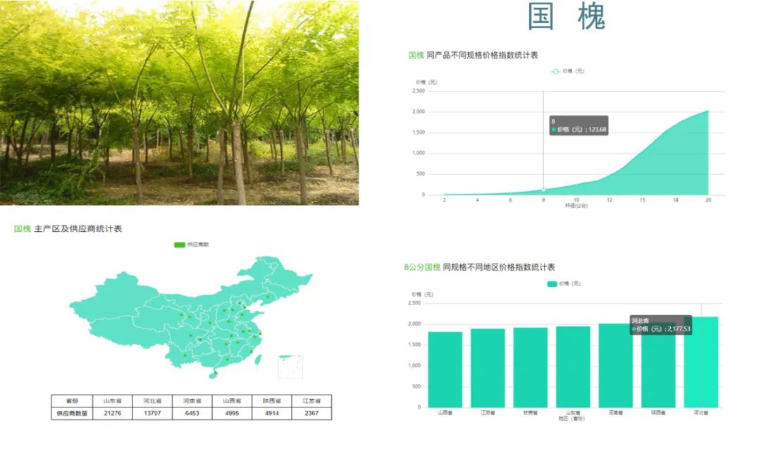 最贵的树种排名与价格,园林苗木骗局曝光案例最新