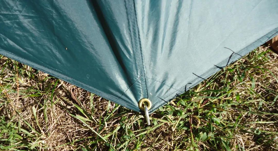 清明节踏青孩子,清明节亲子踏青活动方案