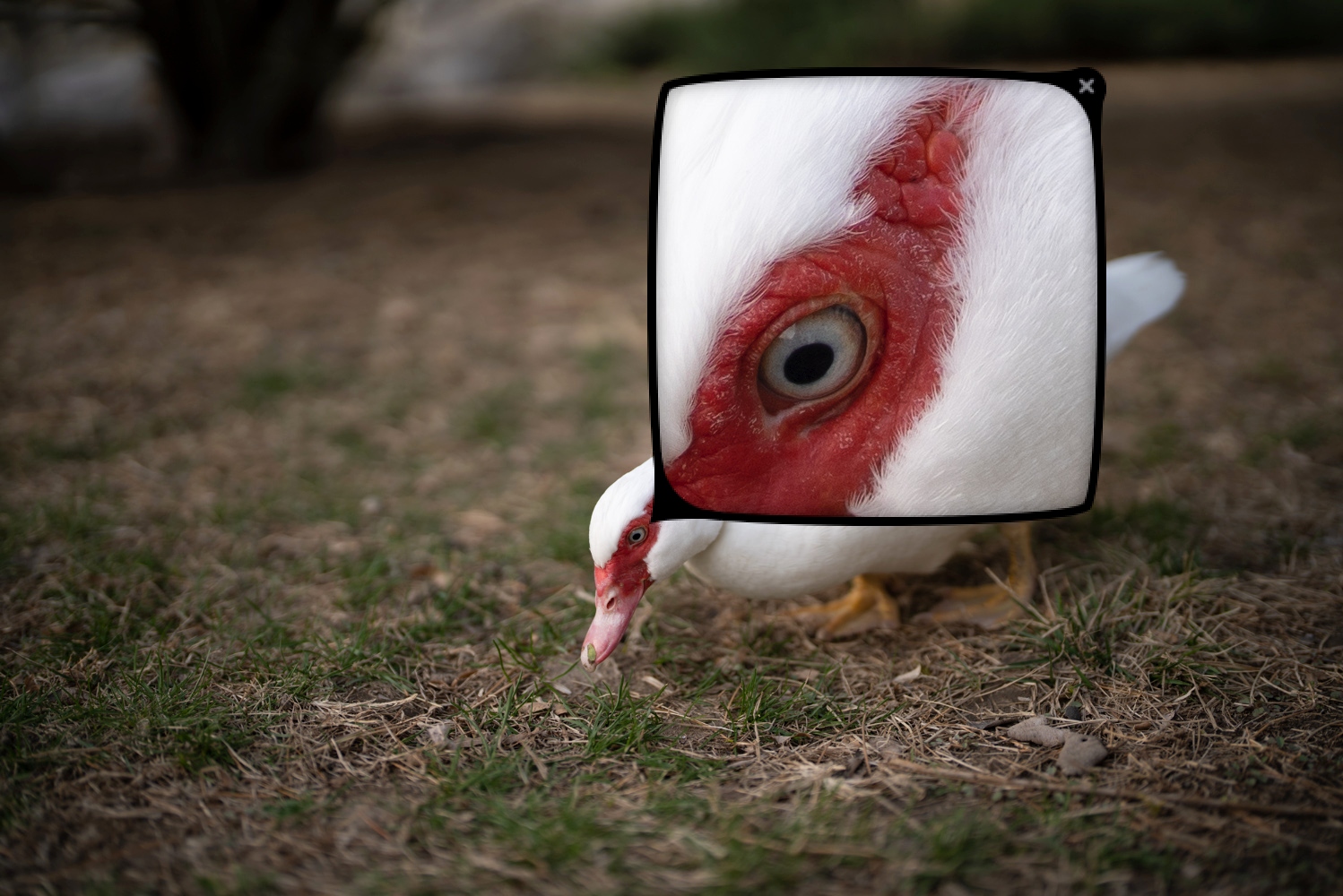 索尼fe50mmf1.2gm拍人像,索尼全画幅fe24mmf1.4测评