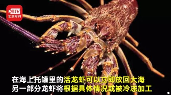 日本断货,日本墓碑进口