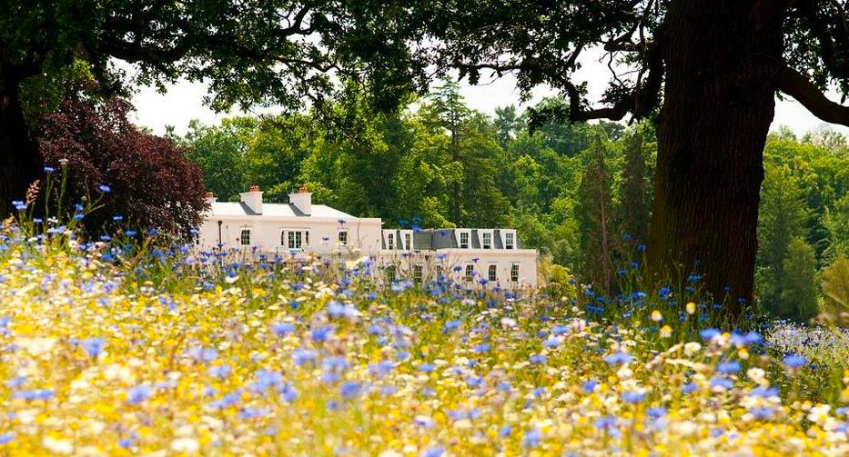 酒店也有“御花园”，住到里面赛神仙