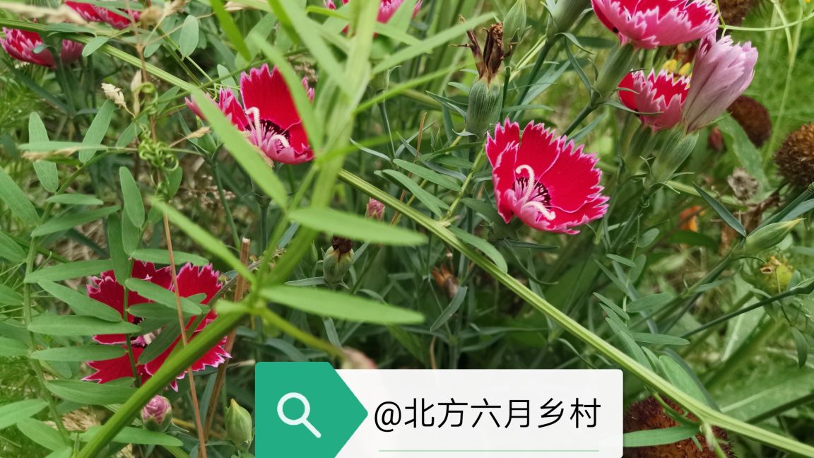 后妈不好当小说,后妈不好当吗