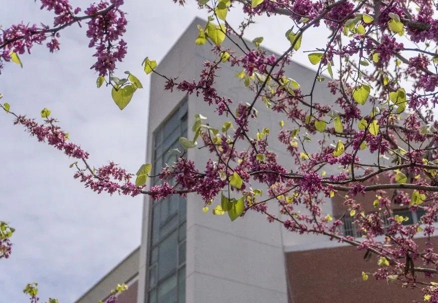 安徽合肥大学二本院校,安徽合肥工业大学