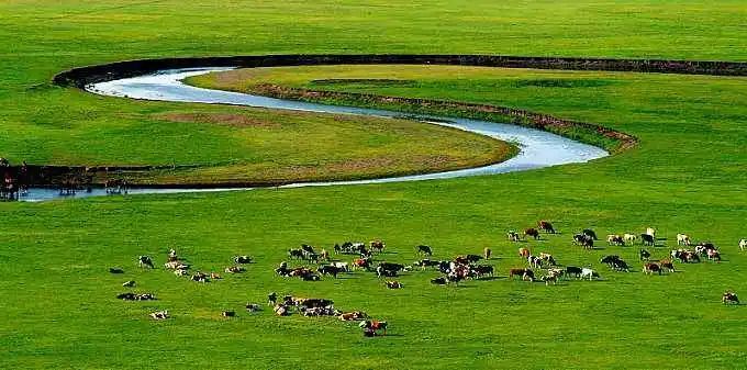 突然想去新疆旅游,突然好想去呼伦贝尔