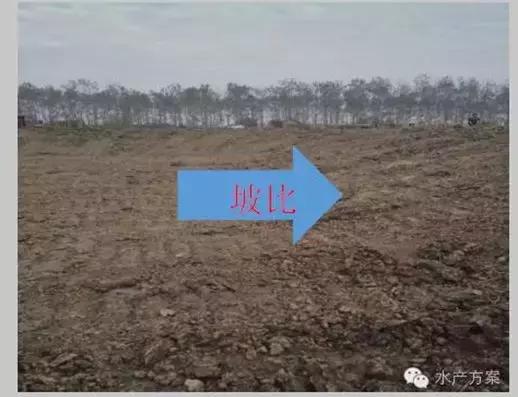 小龙虾育种农田怎样挖才正确,小龙虾种虾塘的管理