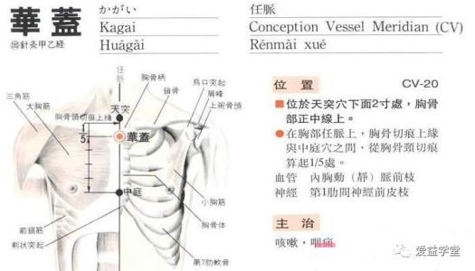 彧中穴华盖穴,华盖穴和紫宫穴隐隐作痛