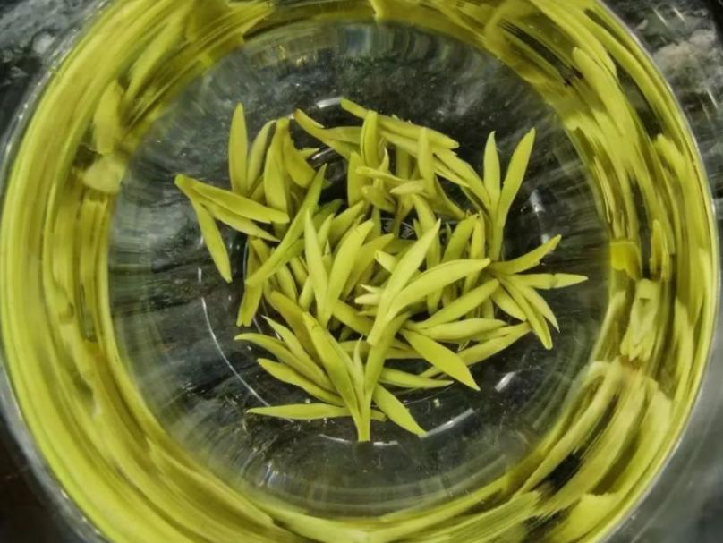 蒙顶甘露是川茶品种吗,老川茶蒙顶甘露茶汤