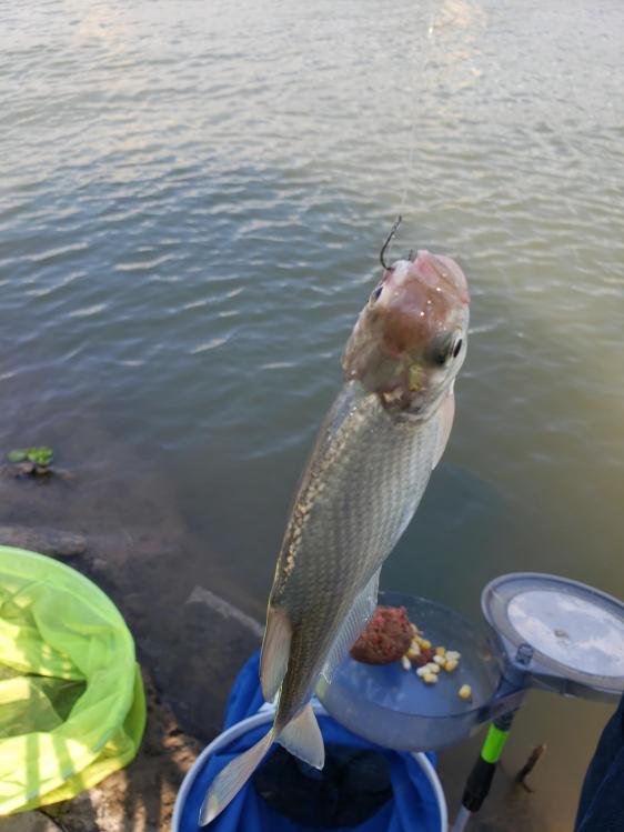 金迦潘钓杆,金迦潘求败渔具好用吗