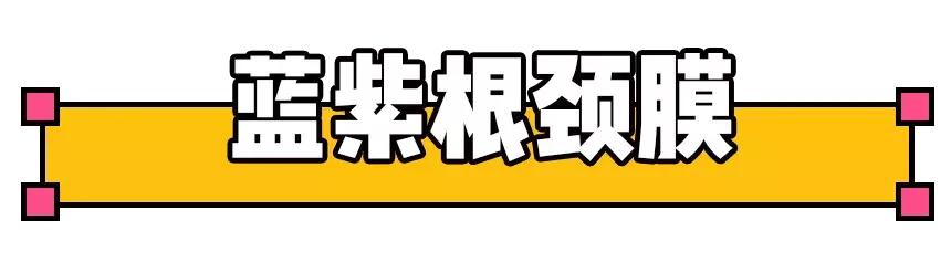永不回购这些网红单品都是坑你的,千万不要买的网红单品