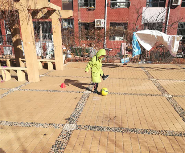 大连足球青训基地在哪里建设,大连有几个足球青训