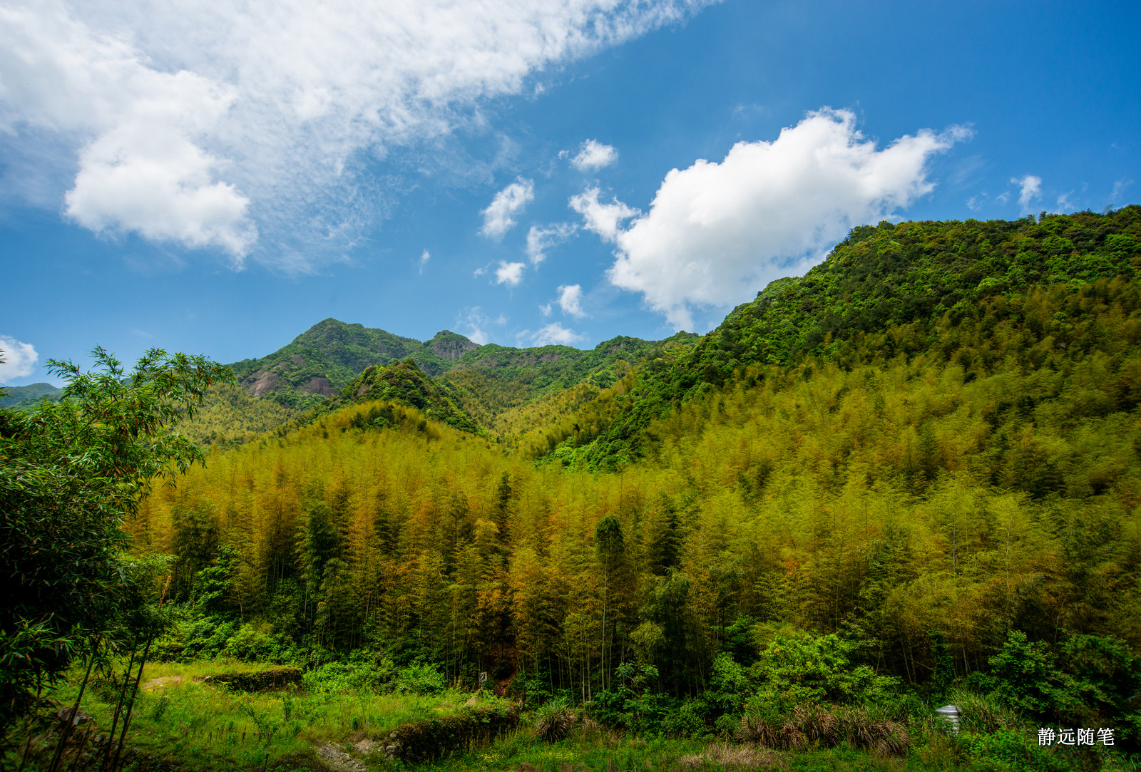 浙江富阳上官球拍有限公司,富阳上官乒乓球拍厂