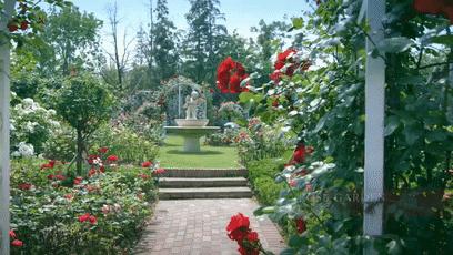 有智能马桶圈的酒店,湖州月亮酒店为什么称为马桶盖