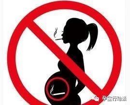 宝妈孕周刊,孕妇的第十周