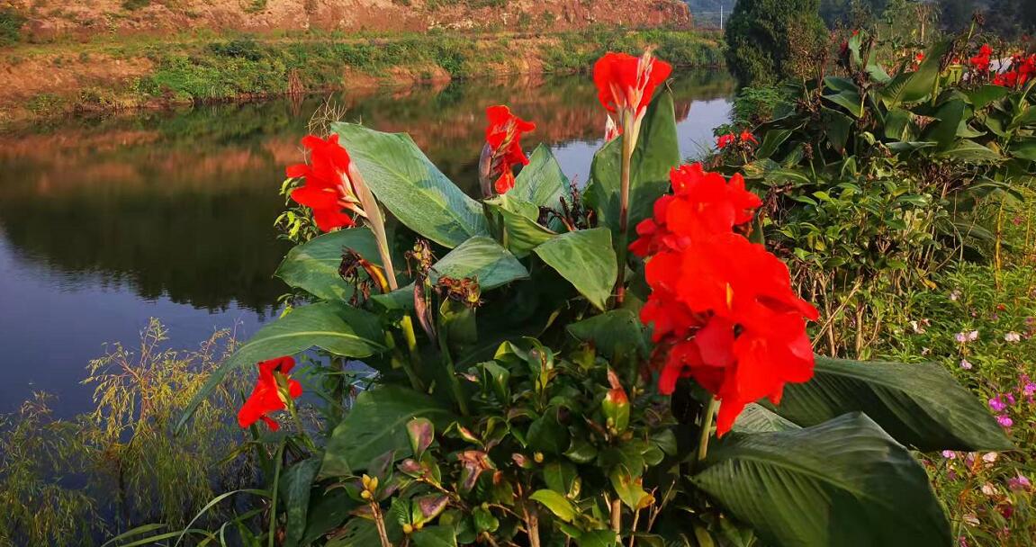 以字辈取名有多好听,字辈取名的作用和意义大全
