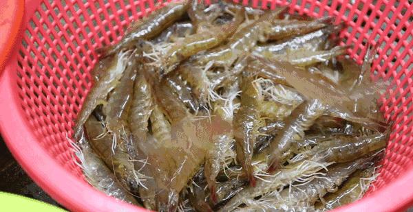 比顺德潮汕还生猛！广东这座小城又撩又骚，现在去正是好时机