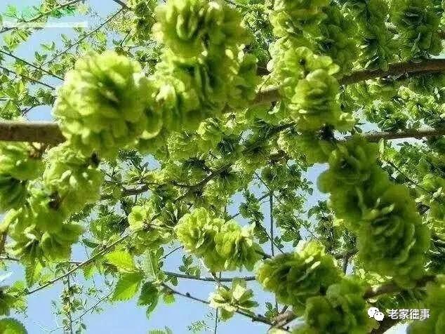 老家的印象和往事 (老家的印象介绍)