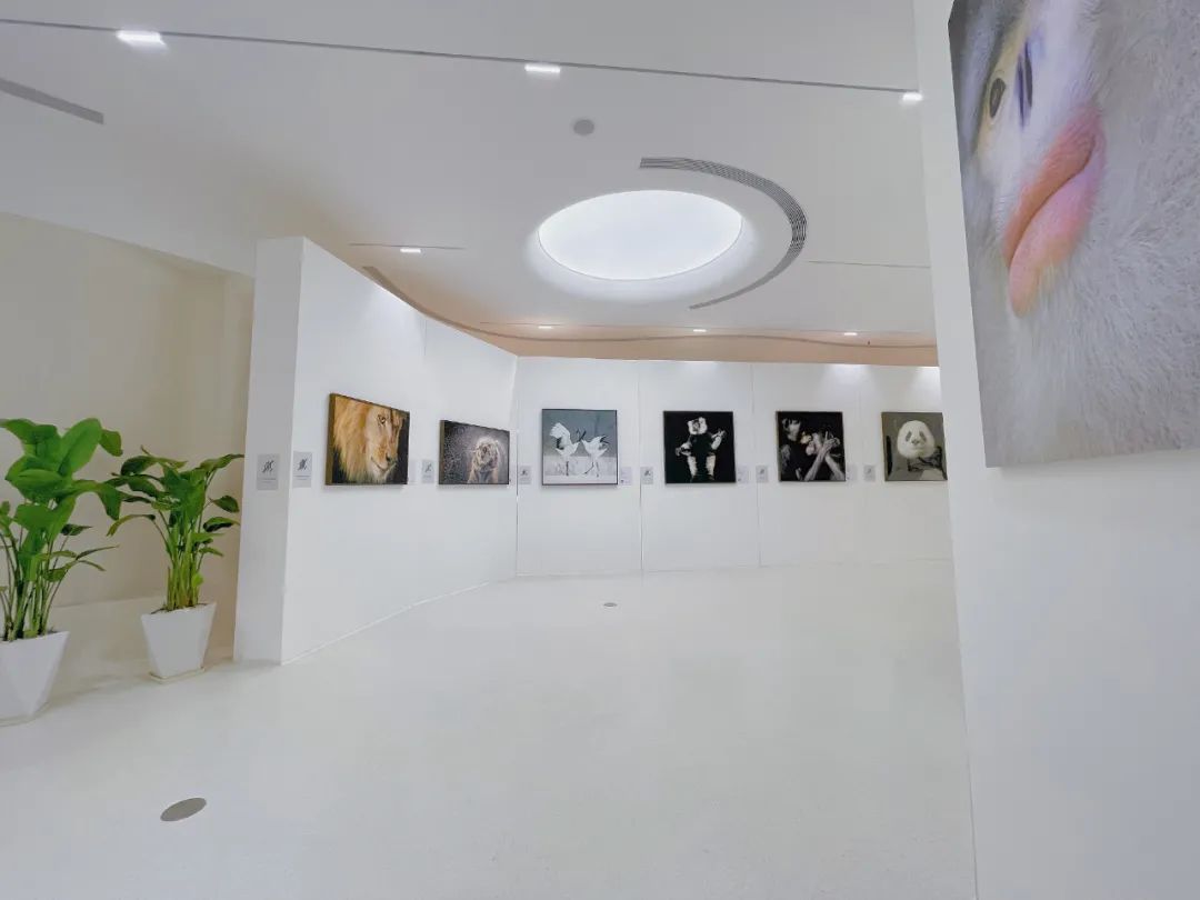 昆明世博片区最新楼盘房价,昆明世博板块优点和缺点