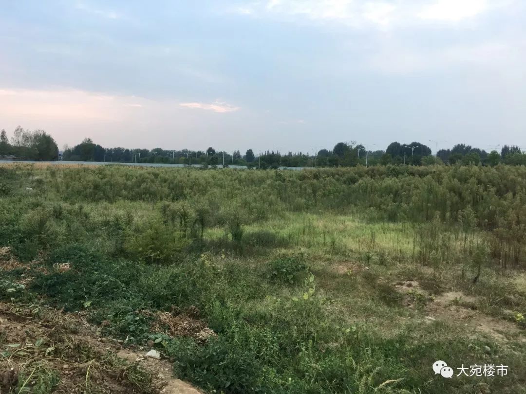 南阳三馆一院是不是每天都开,南阳三馆一院平时人多不