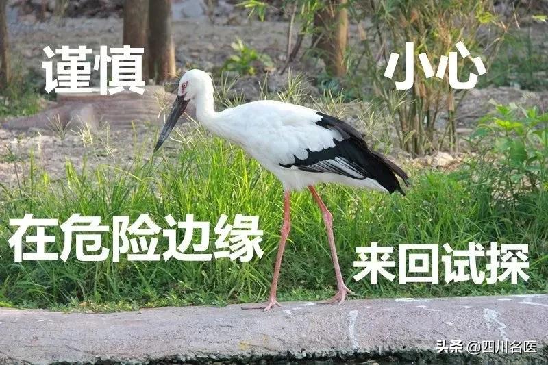 华西医生推荐吃什么钙,华西医院医生提醒十条注意事项